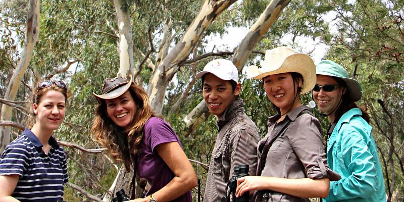 Posts From Echidna Walkabout Nature Tours Australian Wildlife Journeys